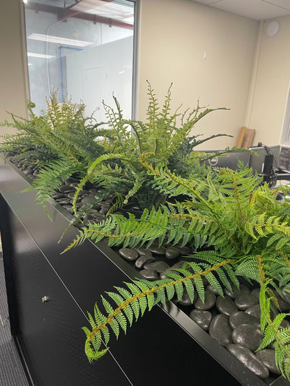 Fern - NZ - Large - Dark Green