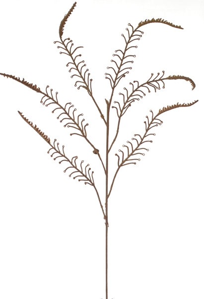 Koru Fern - Brown ✰✰✰ SPECIAL ✰✰✰