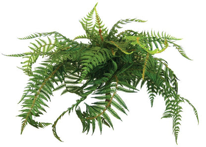 Fern - NZ - Large - Dark Green