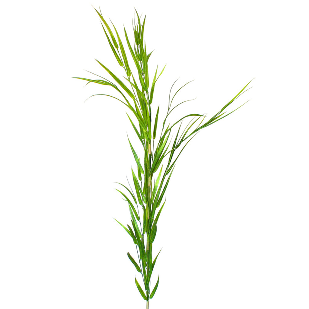 Bamboo Grass - Extra Tall