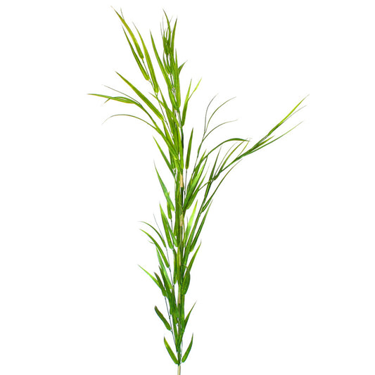 Bamboo Grass - Extra Tall