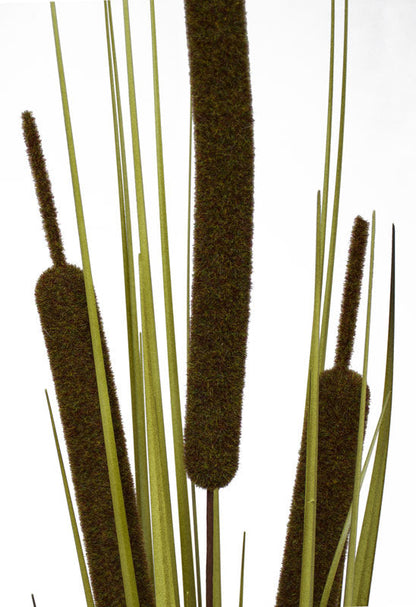 Bull Rush - Forest Green - Extra Large ✰✰✰ HALF PRICE SPECIAL ✰✰✰