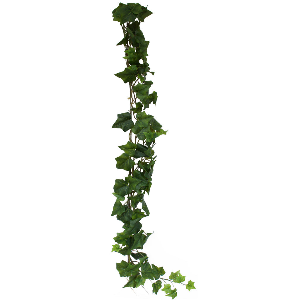 Ivy - Oxford Hedera Premium Garland