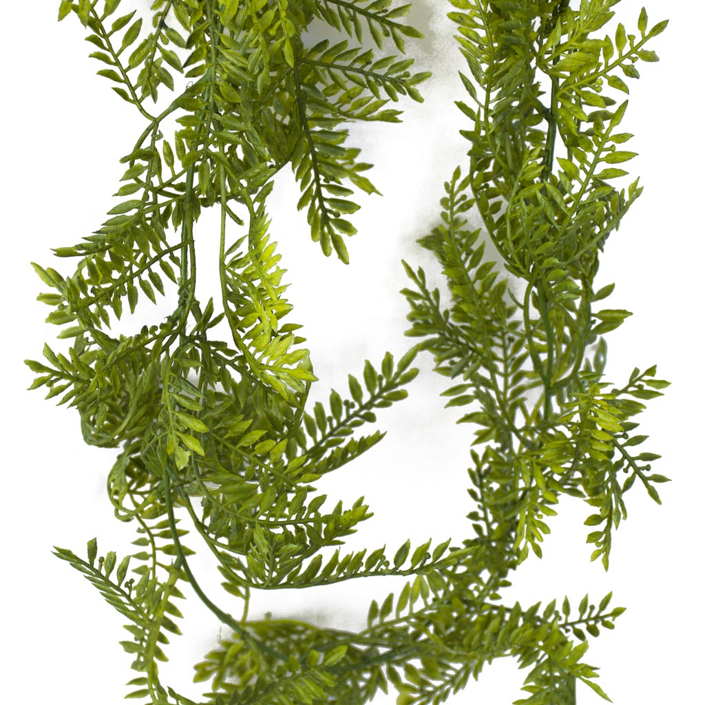 Asparagus Fern Garland - 5.5ft