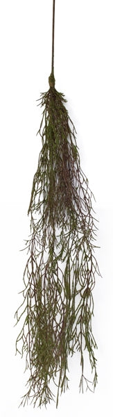 Hanging Moss Vine