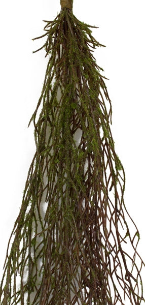 Hanging Moss Vine