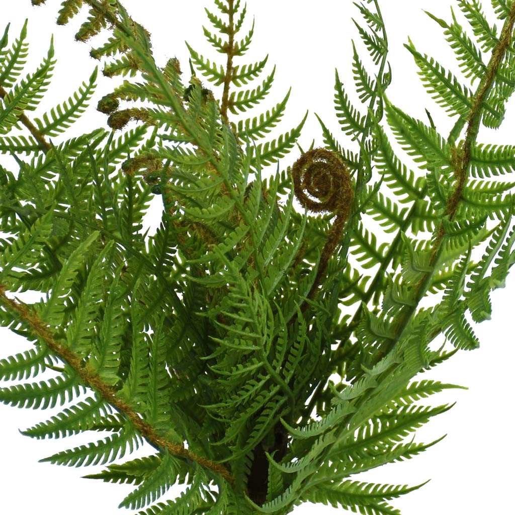 Fern - NZ Bush Small