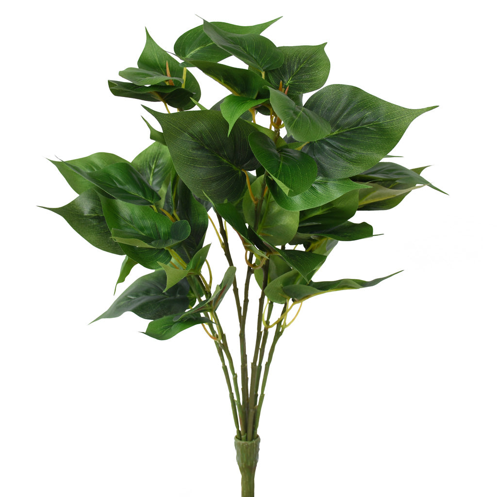 Greenery Plant - Large evergreen pothos bush