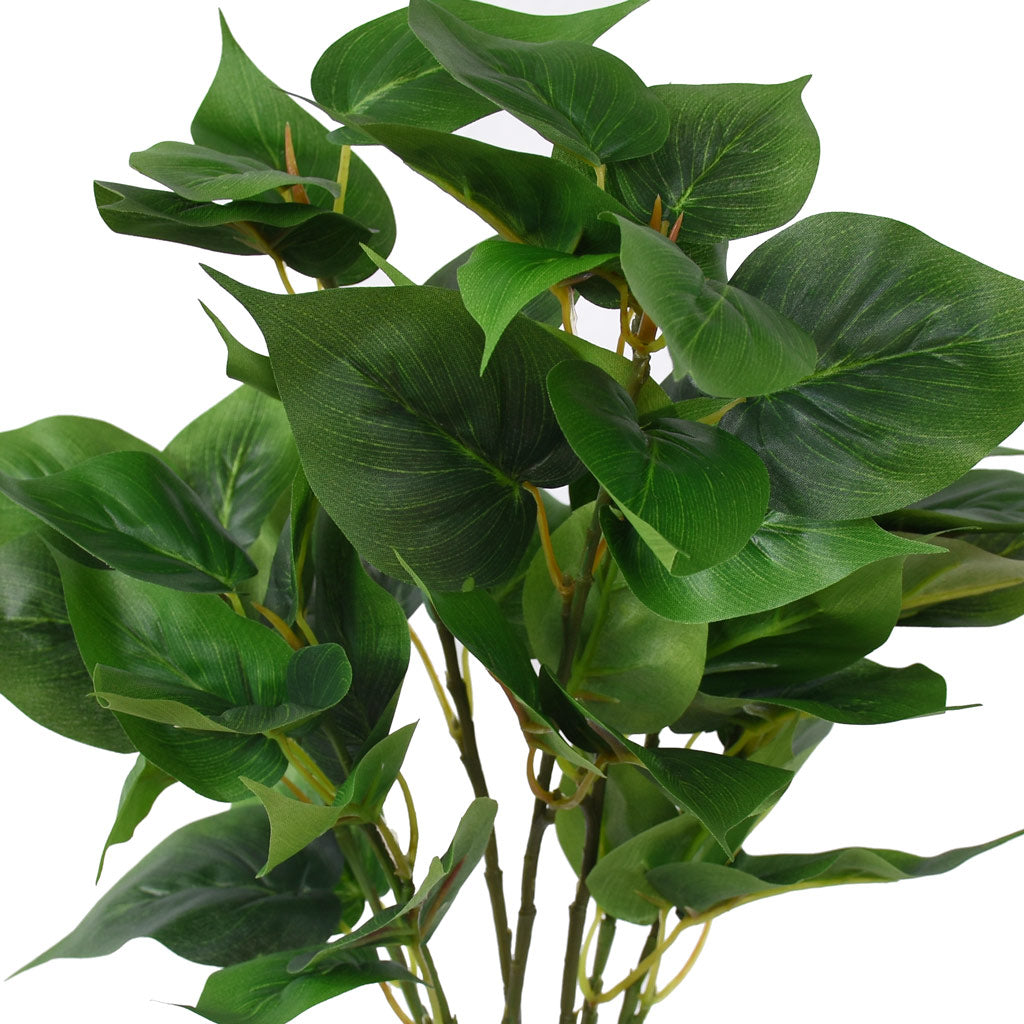 Greenery Plant - Large evergreen pothos bush