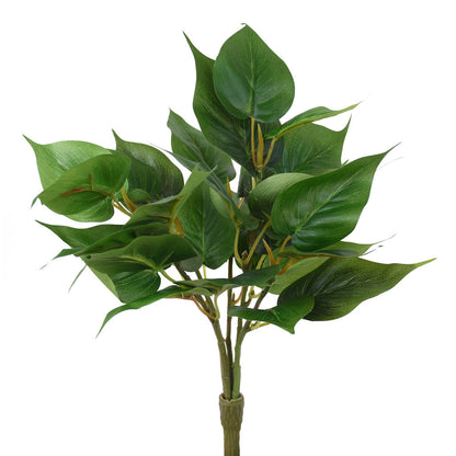 Greenery Plant - Small evergreen Pothos bush