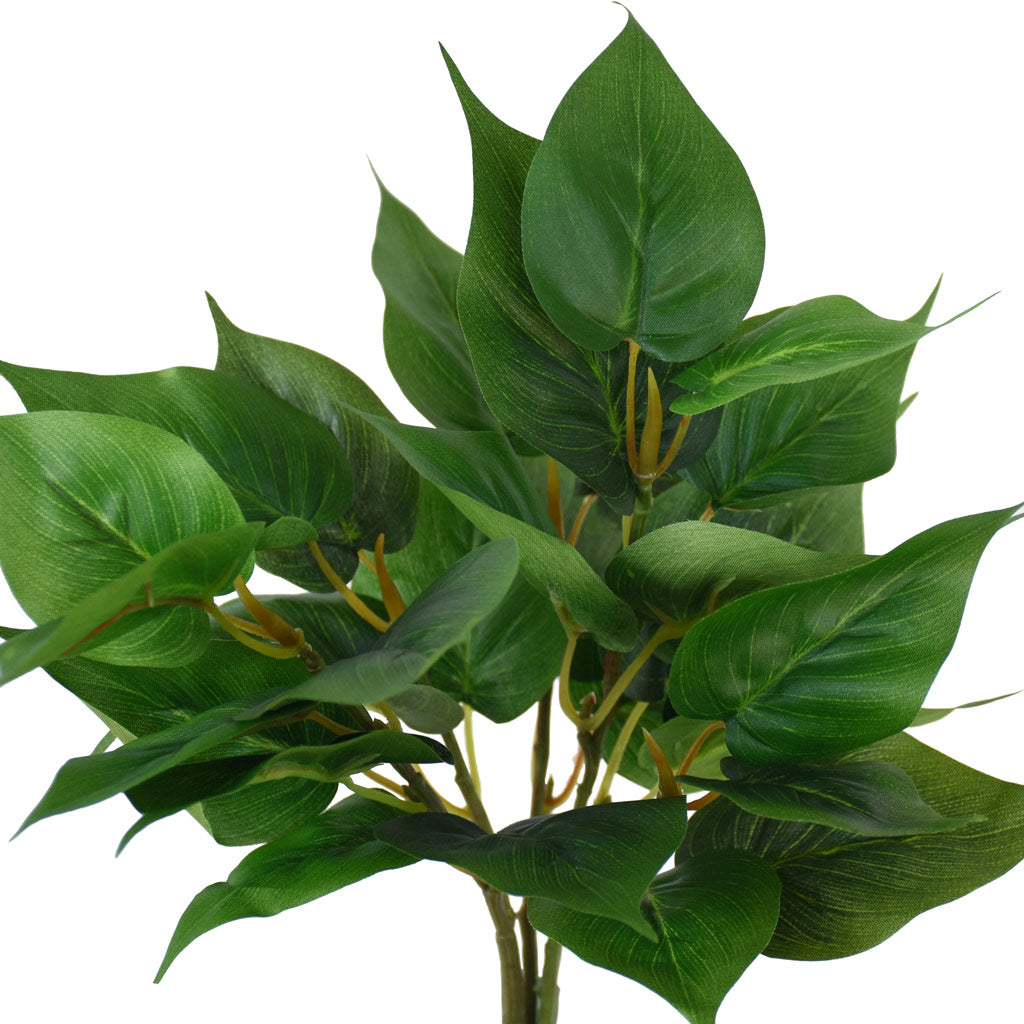 Greenery Plant - Small evergreen Pothos bush