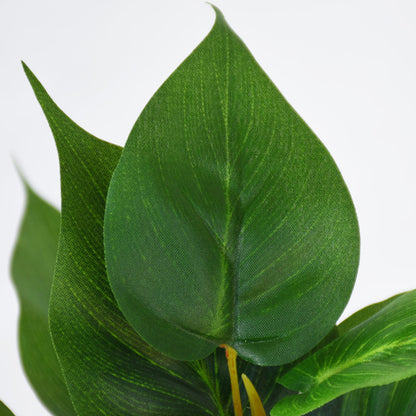 Greenery Plant - Small evergreen Pothos bush