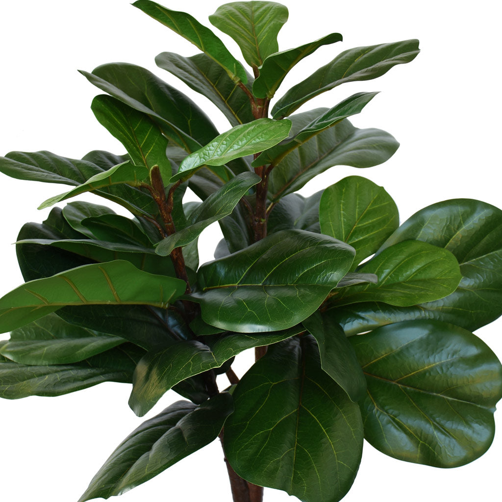 Fiddle Leaf Tree - Artificial - 120cm ✰✰✰ SPECIAL ✰✰✰