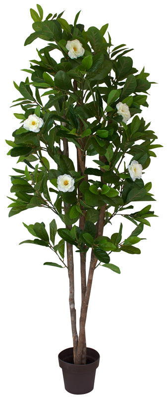 Artificial White Camelia Tree www.decorfowers.co.nz