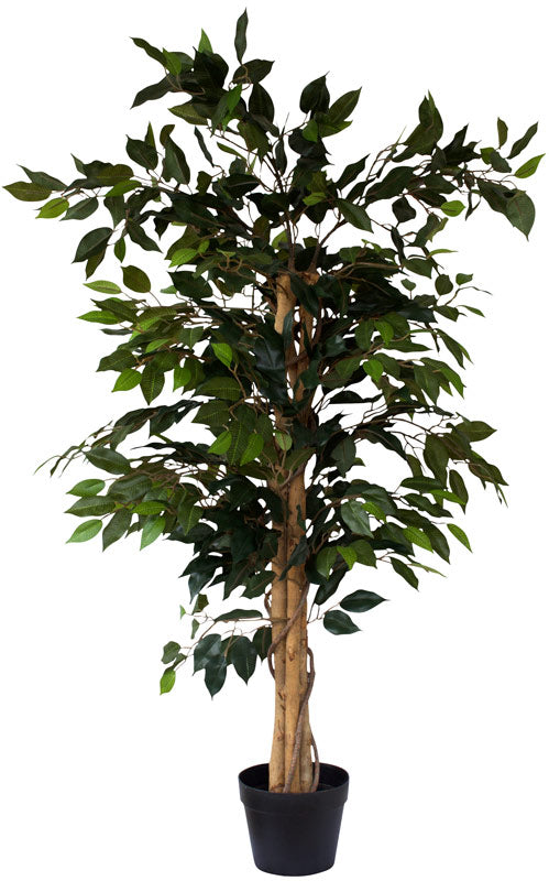 Artificial Ficus Tree www.decorflowers.co.nz