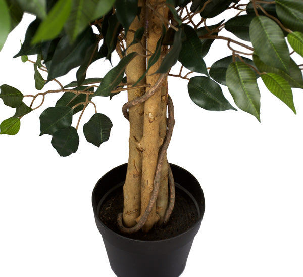 Tree - Ficus 125cm ✰✰✰ SPECIAL ✰✰✰