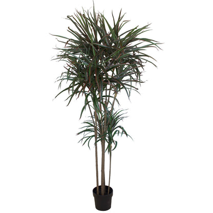 Artificial Dracenea Palm at www.decorflowers.co.nz