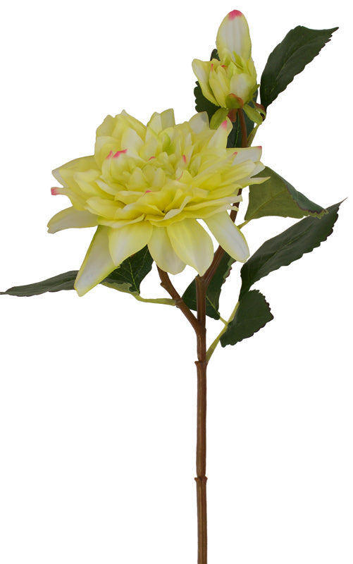 Dahlia Flower Spray - Lemon Cream