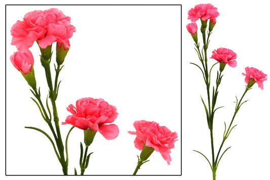 Carnation Flower Spray - Pink