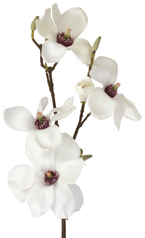 Magnolia - Traditional Southern White