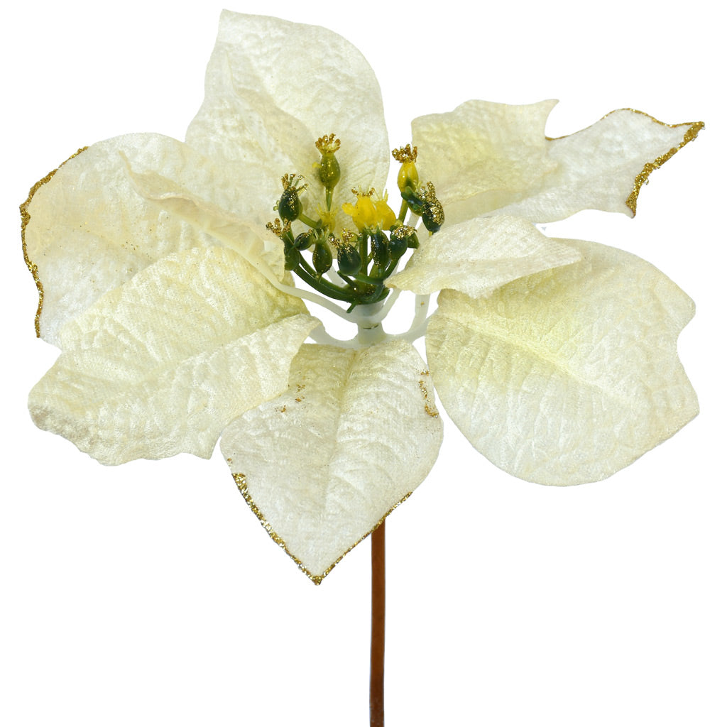 Poinsettia Pick - White - 20cm