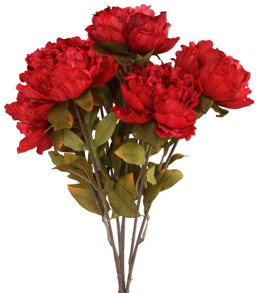 Peony Bunch - Colombo Street Red