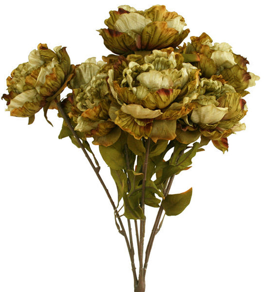 Peony Bunch - Cuba Street Green ✰✰✰ SPECIAL ✰✰✰