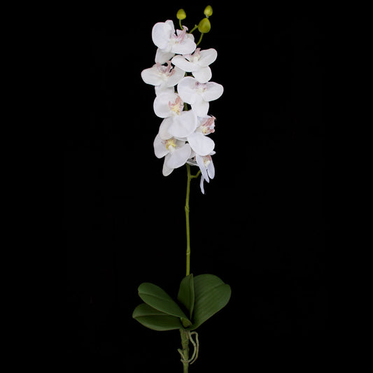 Orchid with leaves - White - 60cm