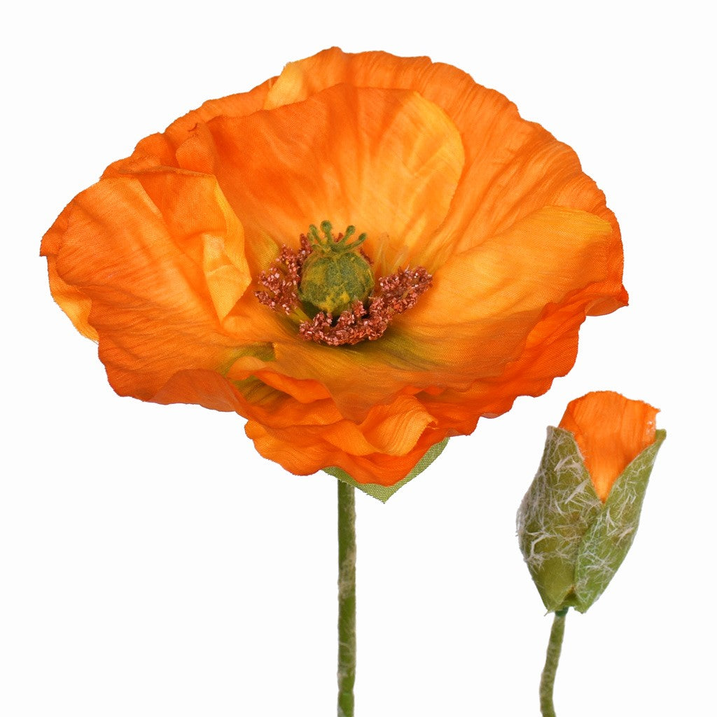 Poppy Spray - Orange