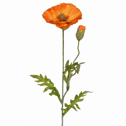 Poppy Spray - Orange