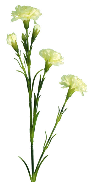 Carnation Flower Spray - Cream White