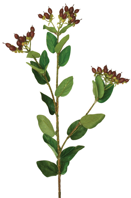 Hypericum Berry Spray